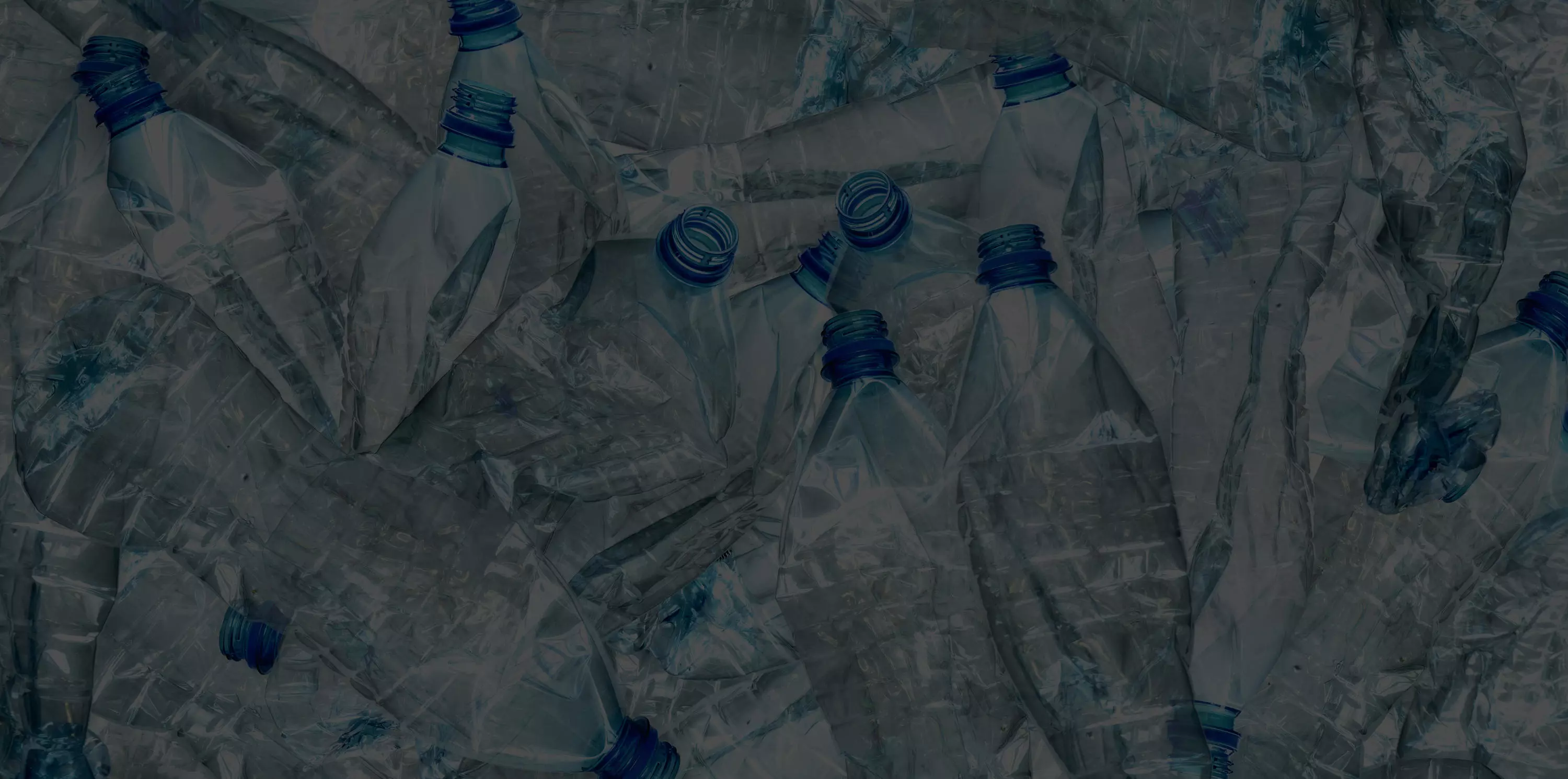 PET bottles