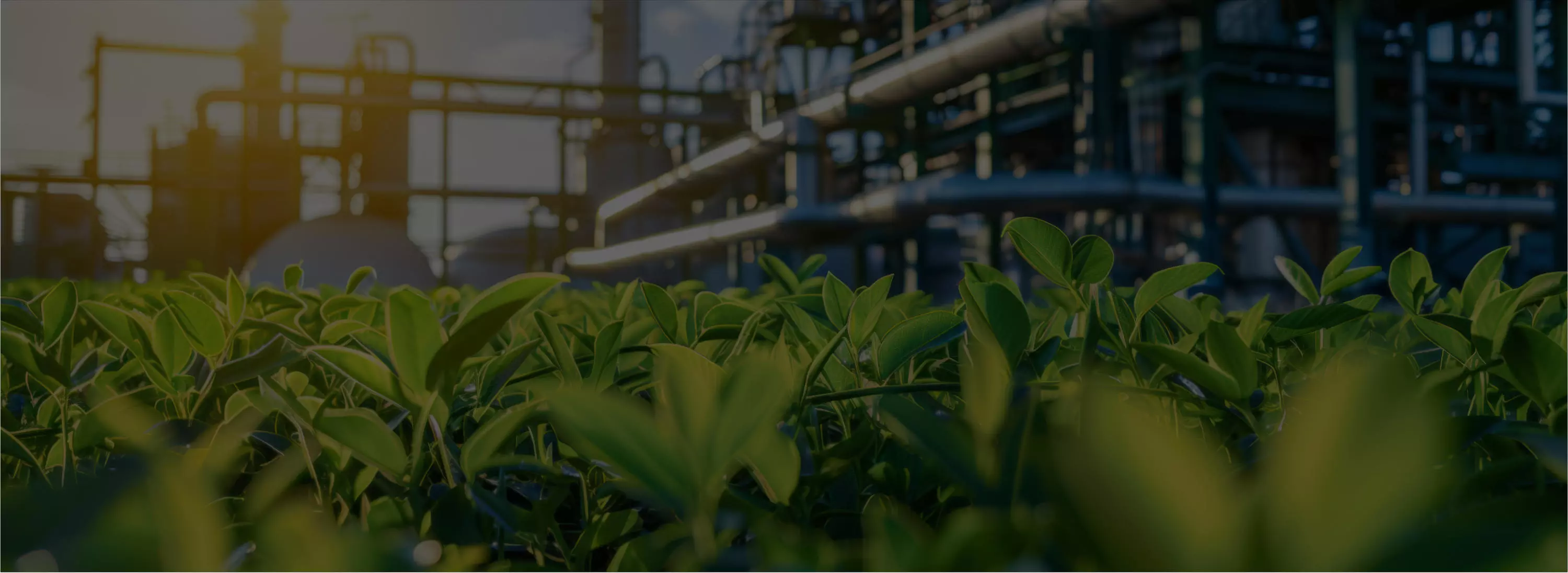 green energy solutions veolia